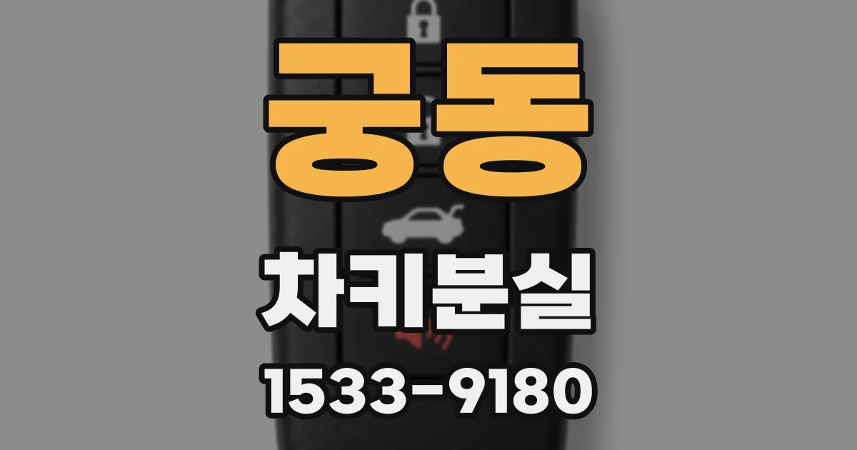 궁동 차키분실