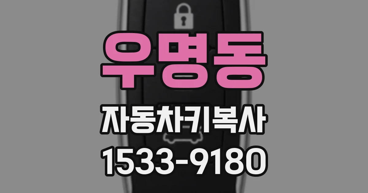 우명동 자동차키복사