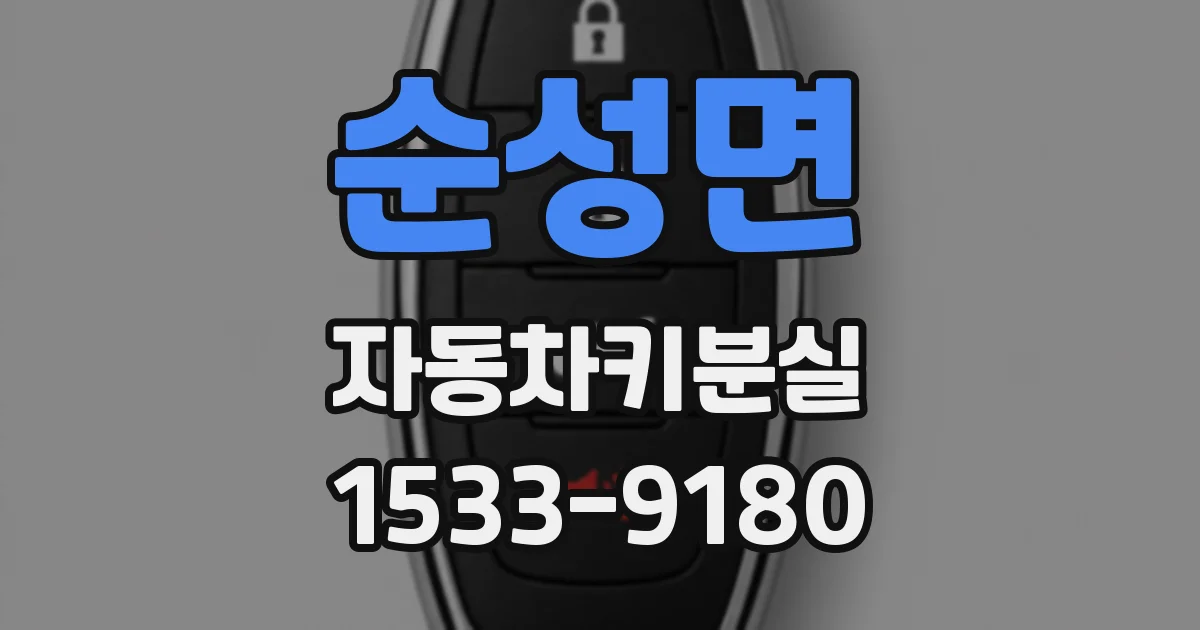 순성면 자동차키분실