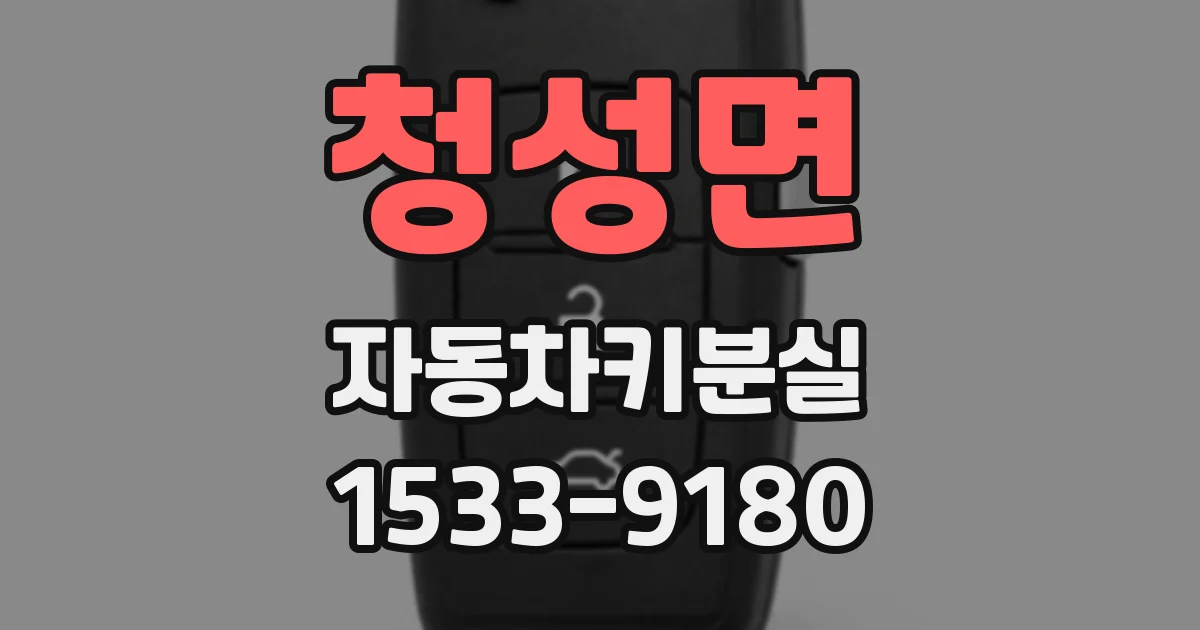 청성면 자동차키분실