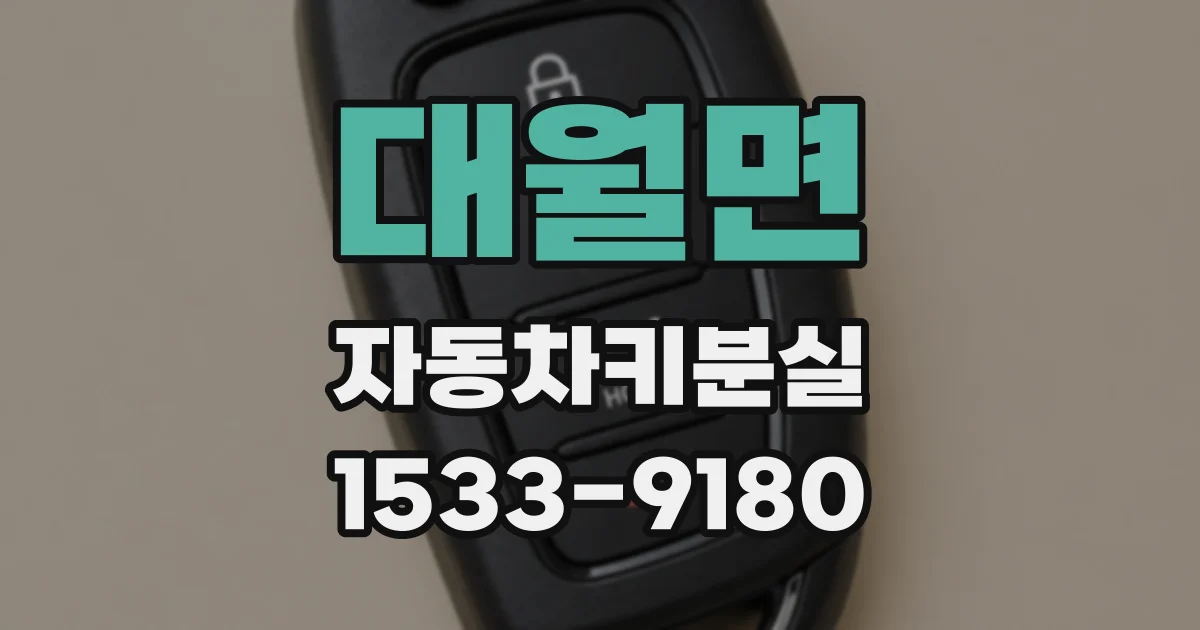 대월면 자동차키분실