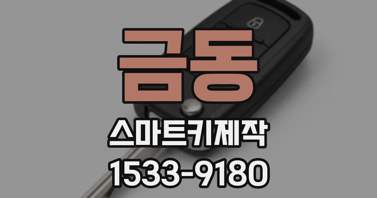 금동 스마트키제작