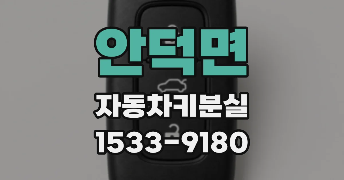 안덕면 자동차키분실