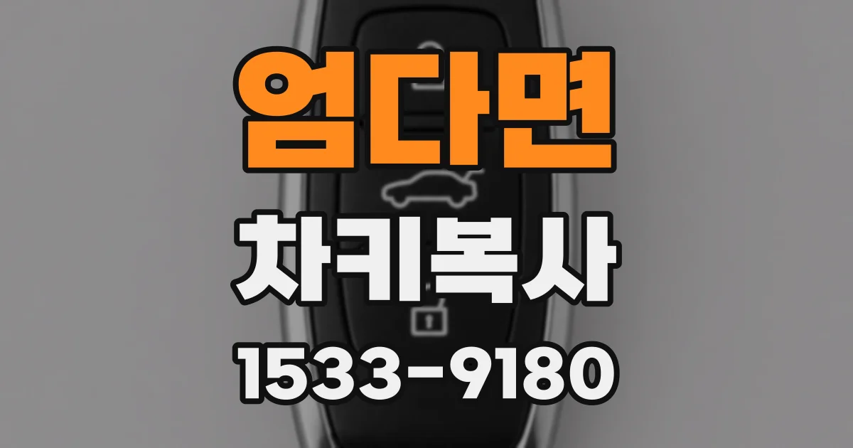 엄다면 차키복사
