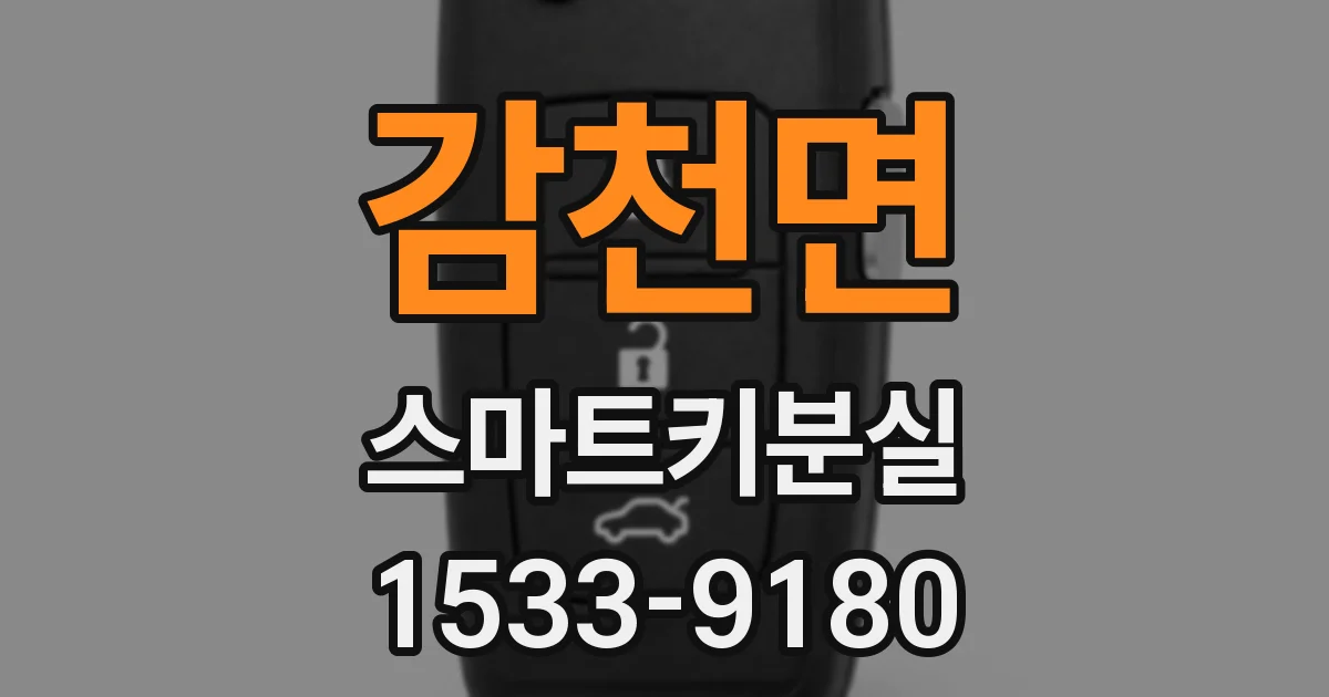감천면 스마트키분실