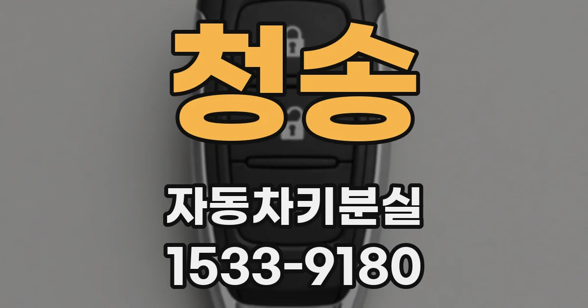 청송 자동차키분실