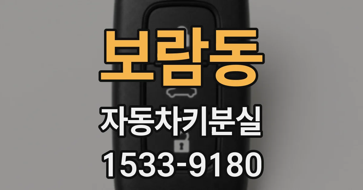 보람동 자동차키분실