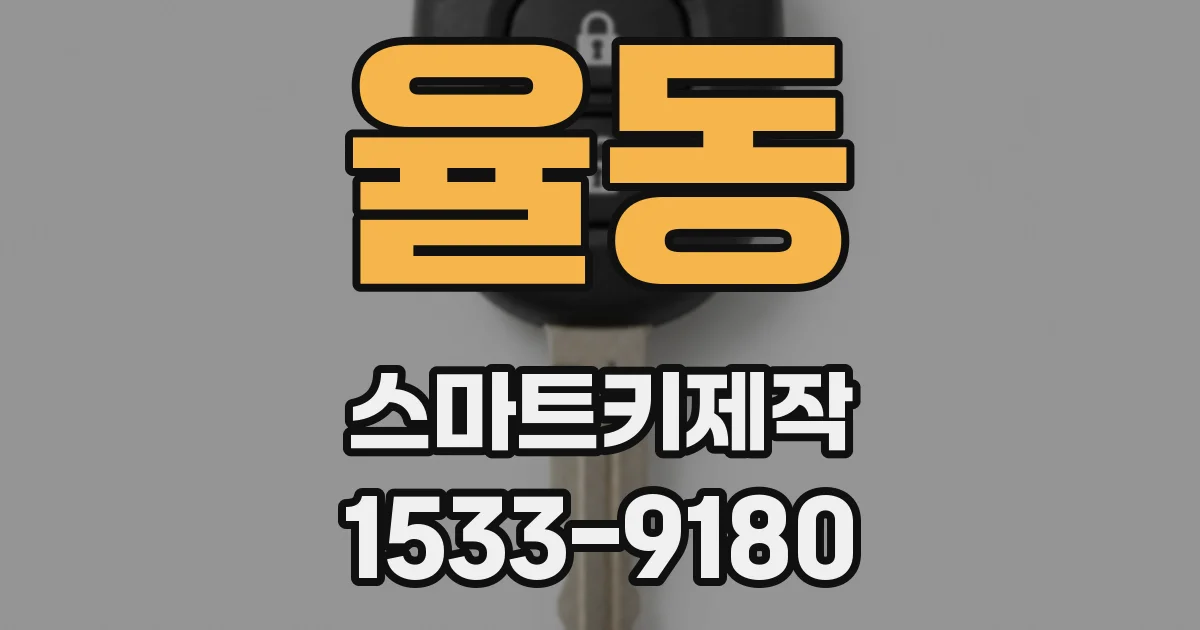 율동 스마트키제작