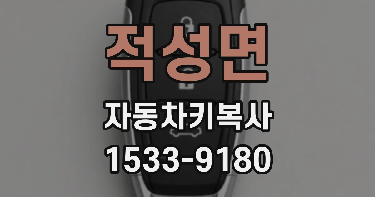 적성면 자동차키복사