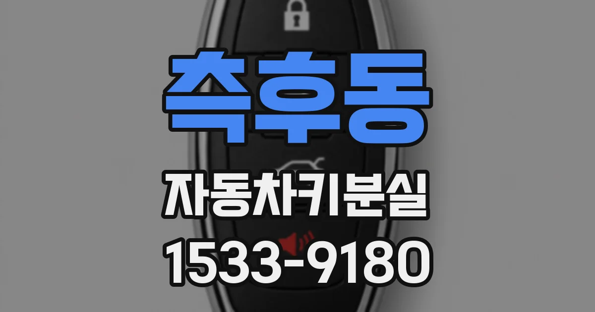측후동 자동차키분실