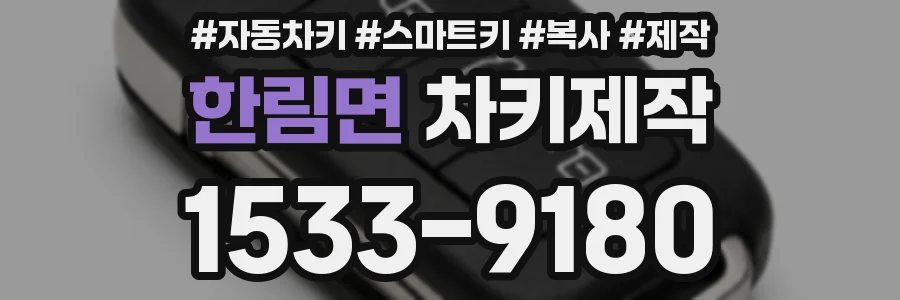 한림면 차키제작