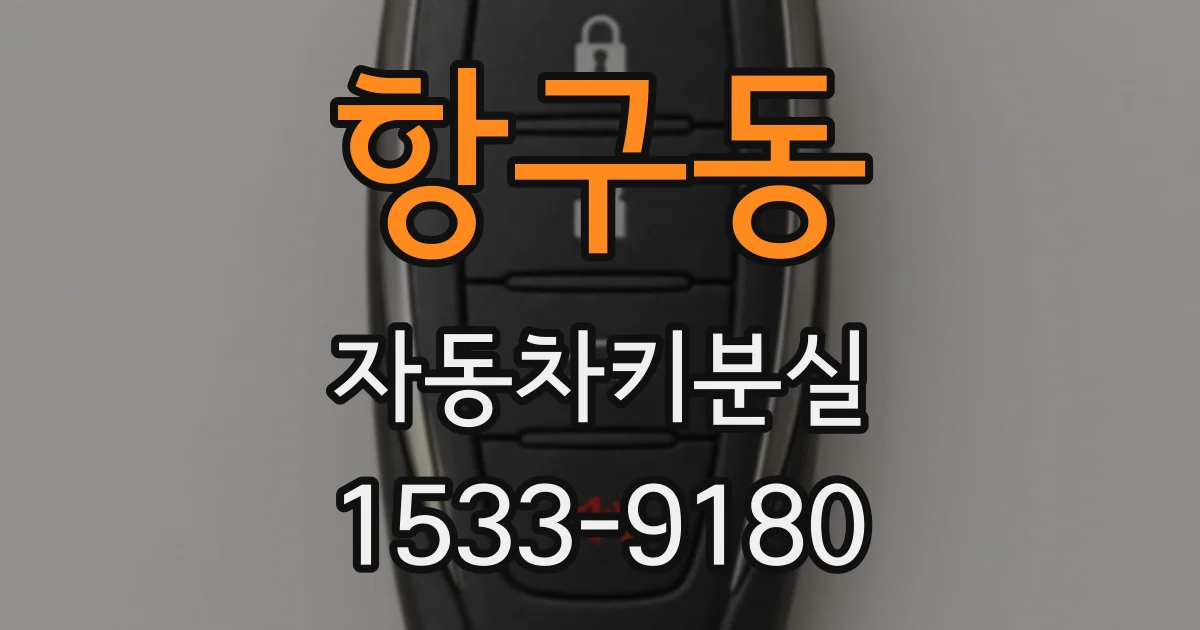 항구동 자동차키분실