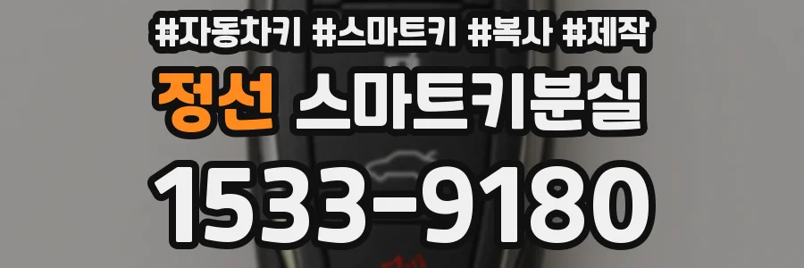 정선 스마트키분실