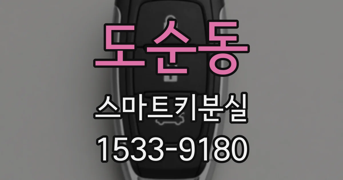 도순동 스마트키분실