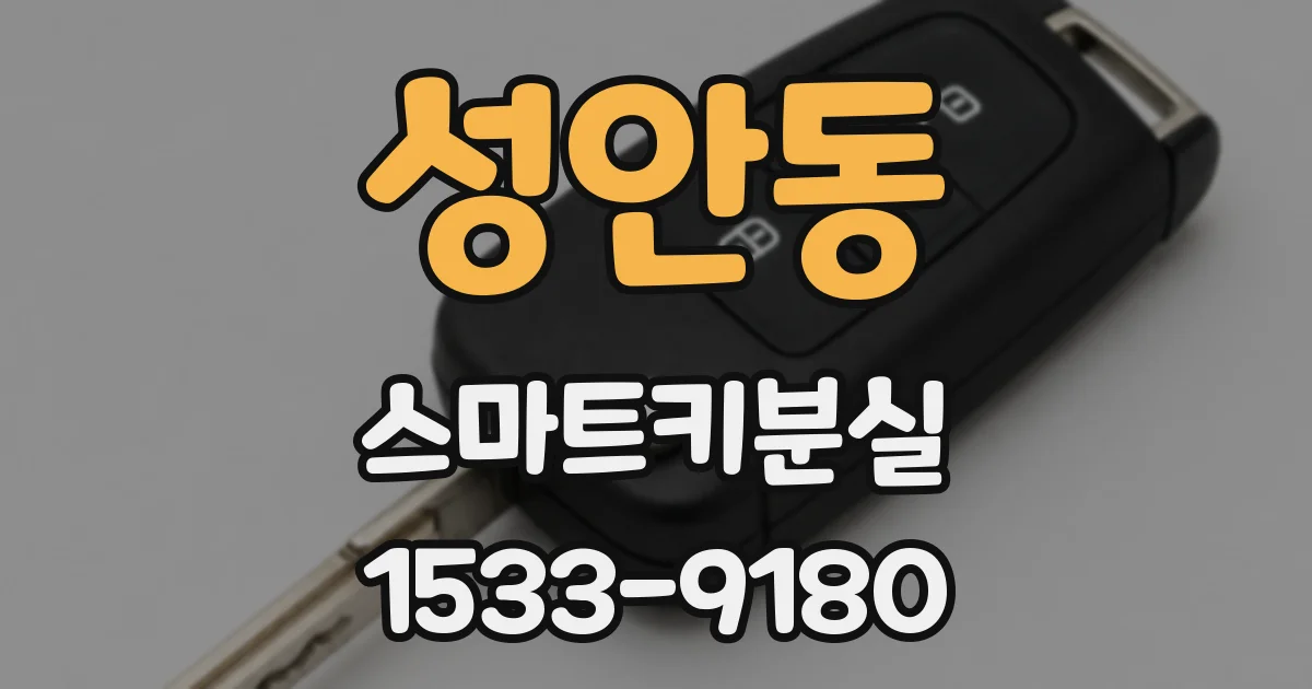 성안동 스마트키분실