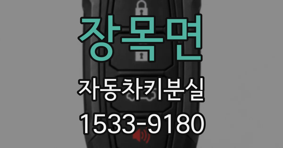장목면 자동차키분실