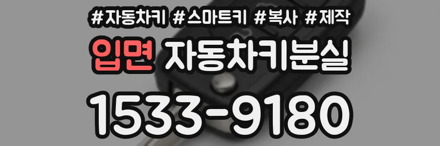 입면 자동차키분실