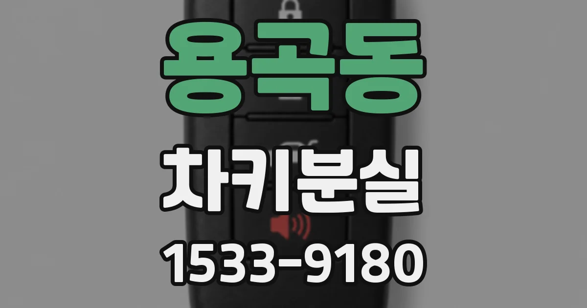 용곡동 차키분실
