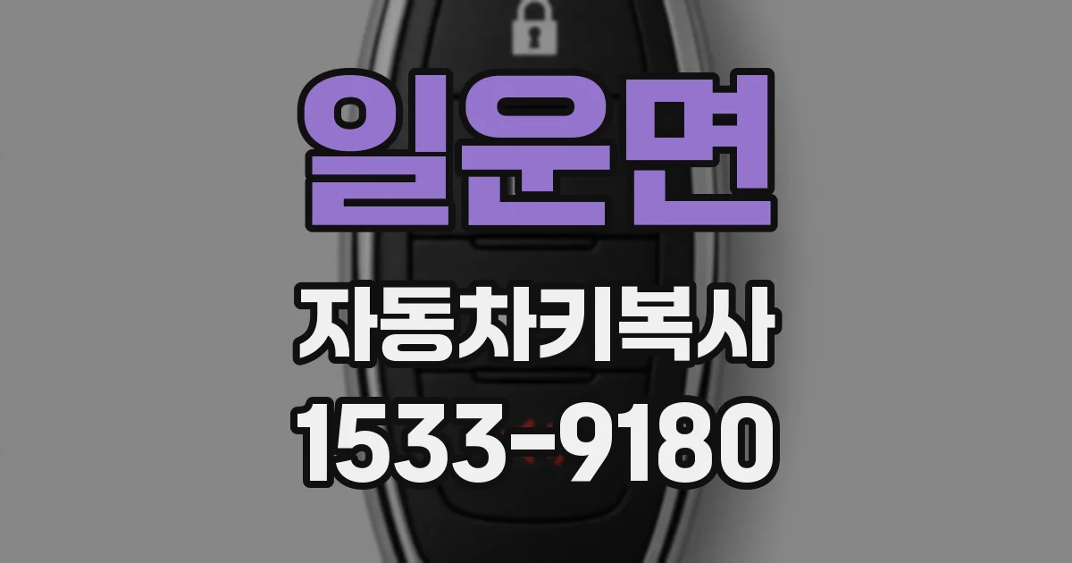 일운면 자동차키복사