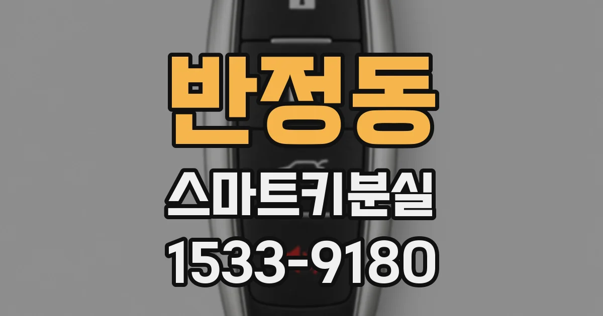 반정동 스마트키분실