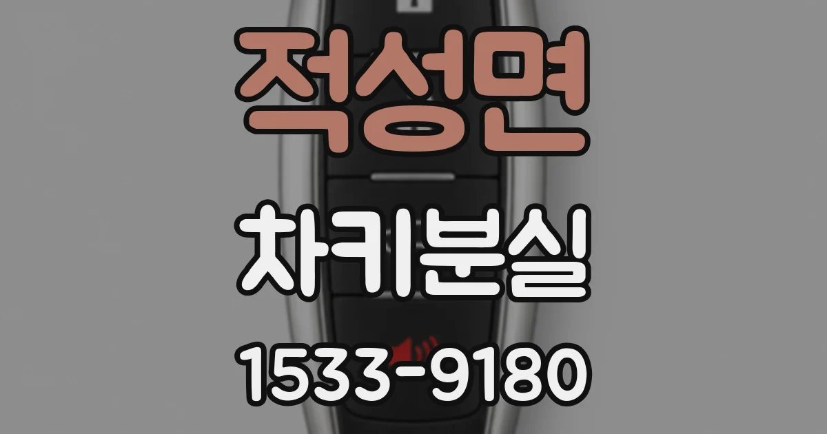 적성면 차키분실