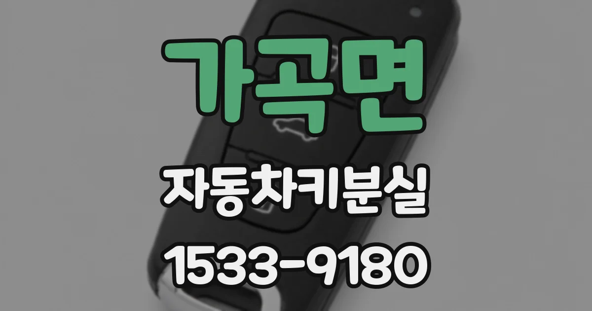 가곡면 자동차키분실