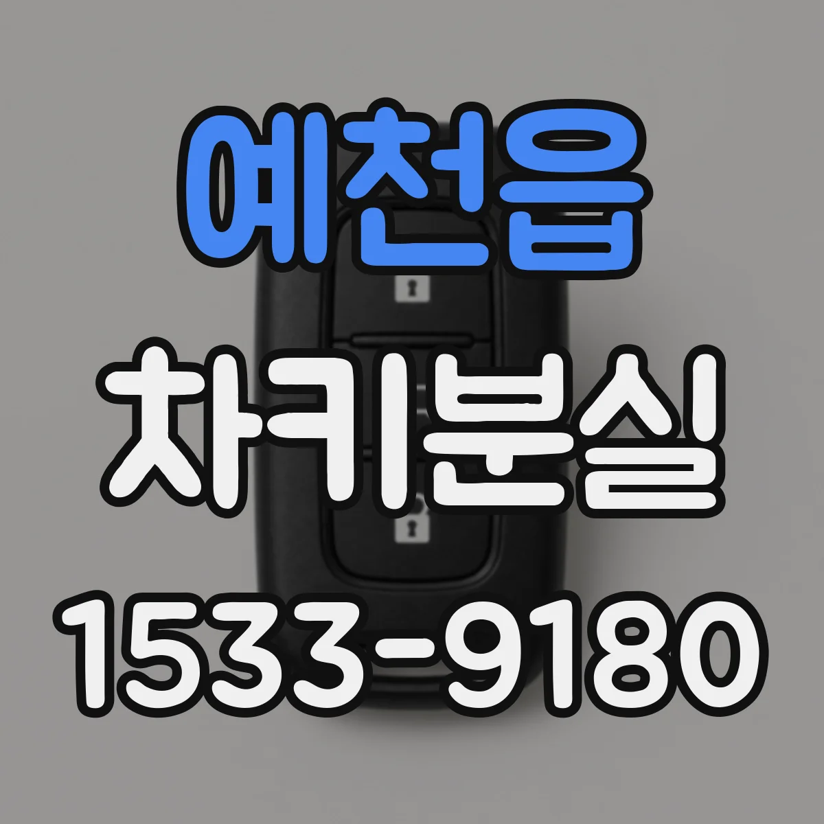 예천읍 차키분실