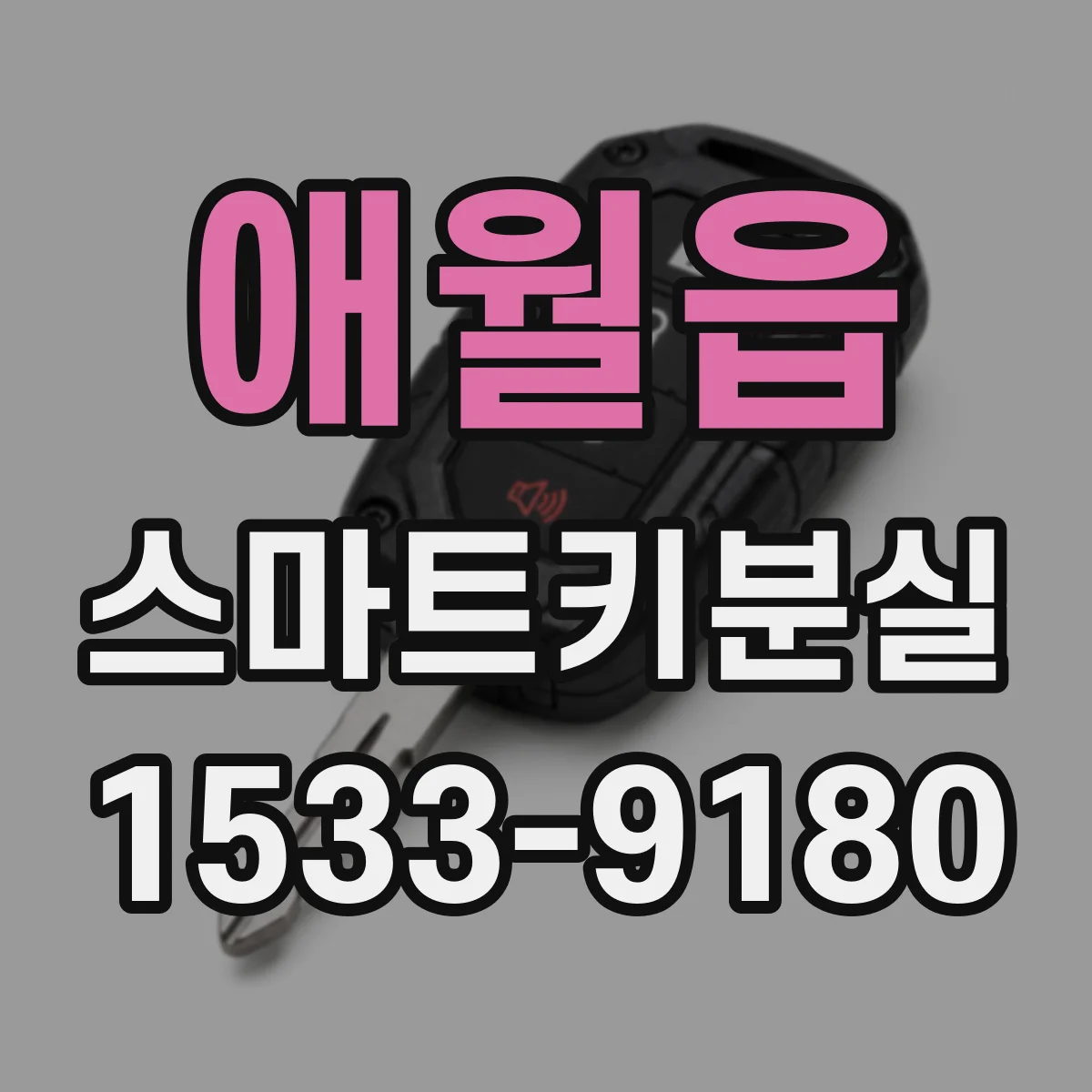 애월읍 스마트키분실