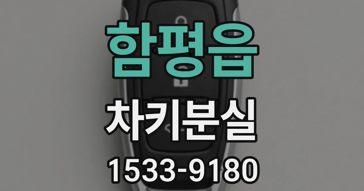 함평읍 차키분실