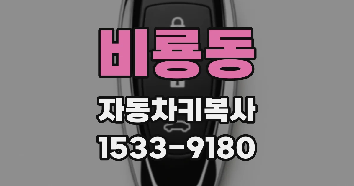 비룡동 자동차키복사