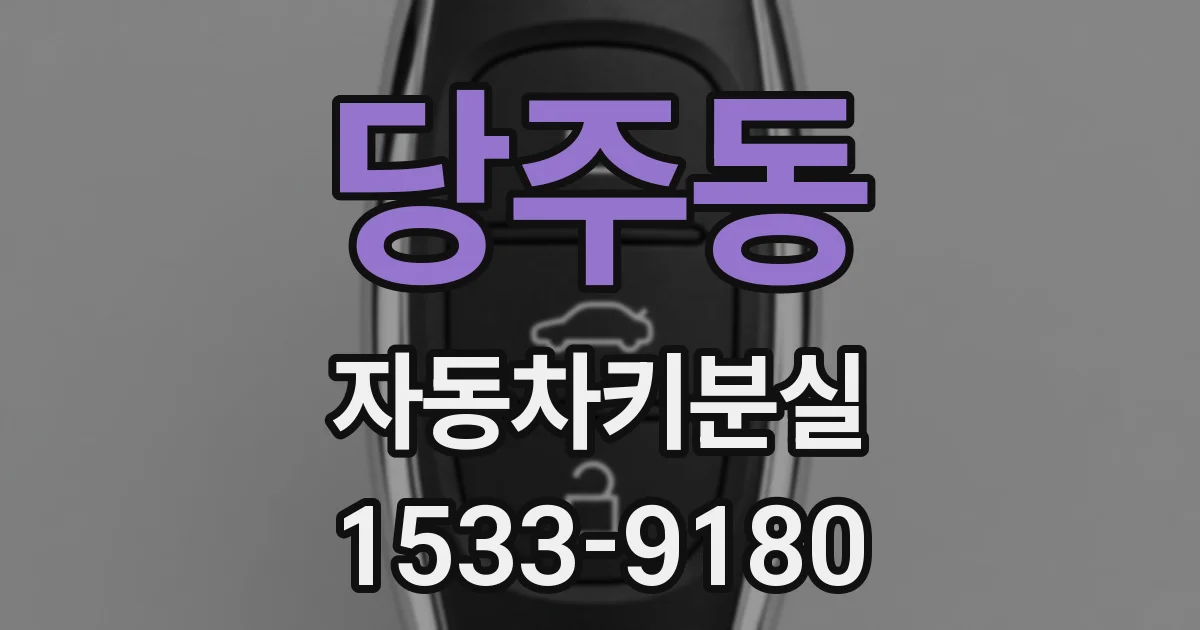 당주동 자동차키분실
