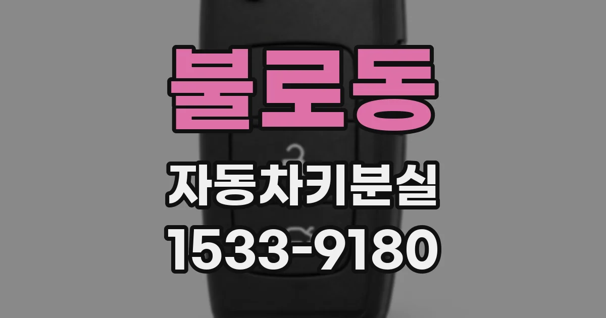 불로동 자동차키분실