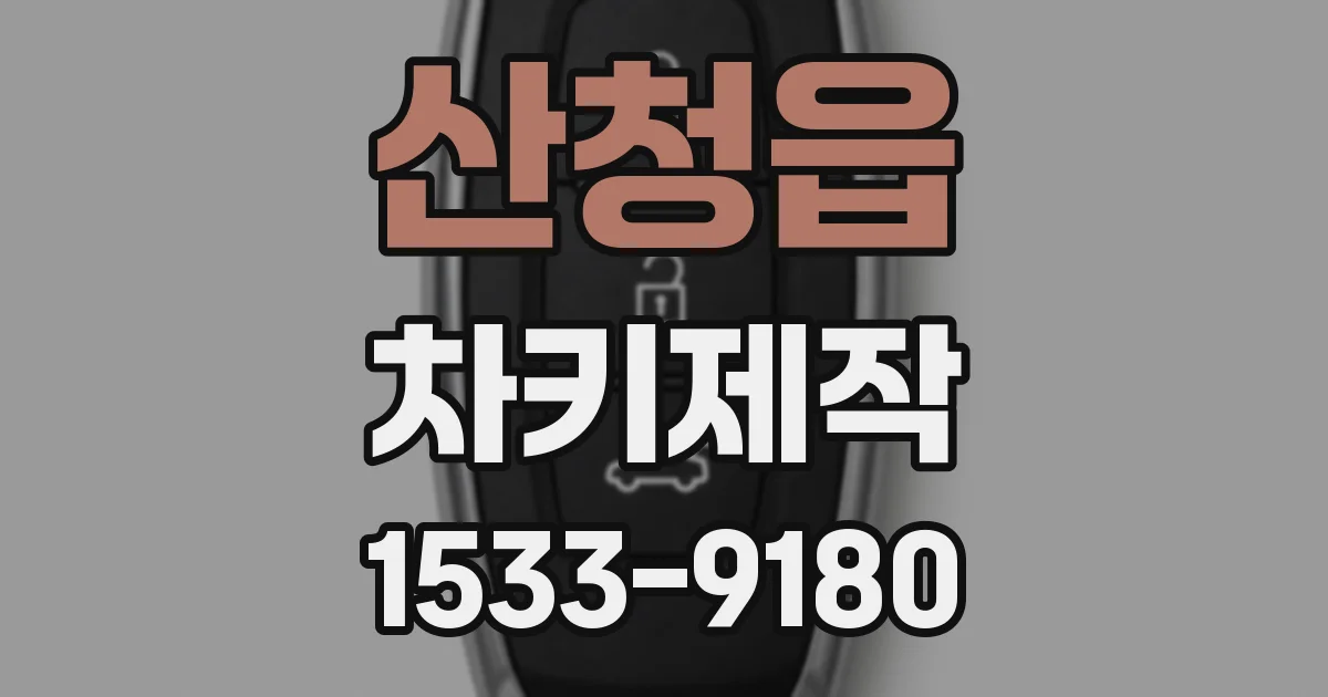 산청읍 차키제작