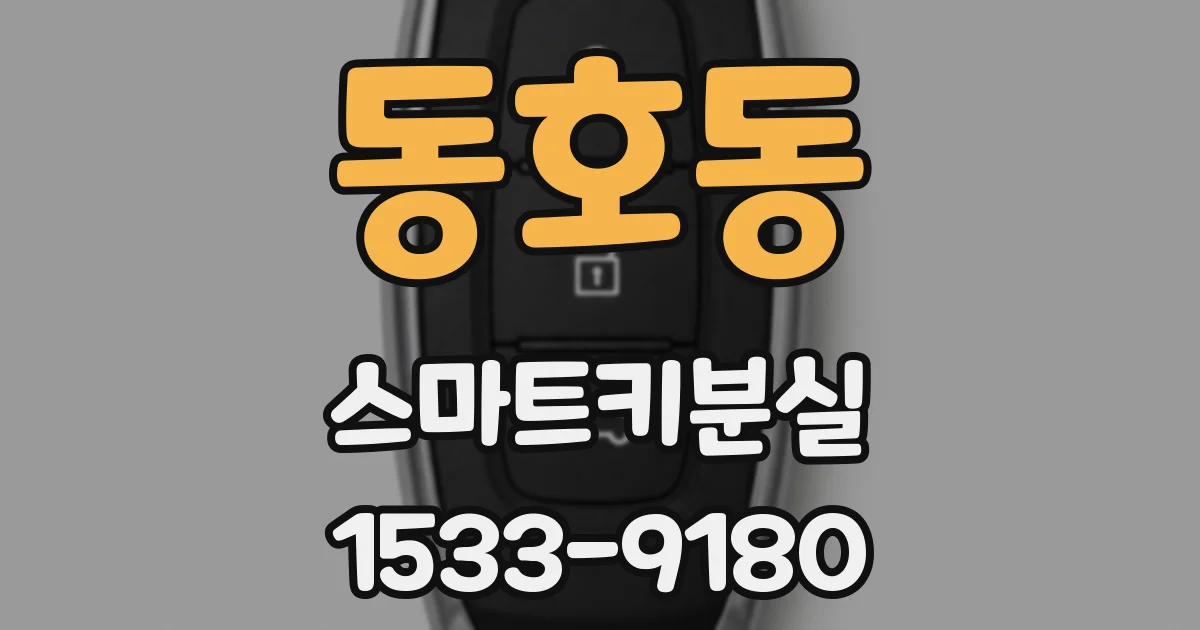 동호동 스마트키분실
