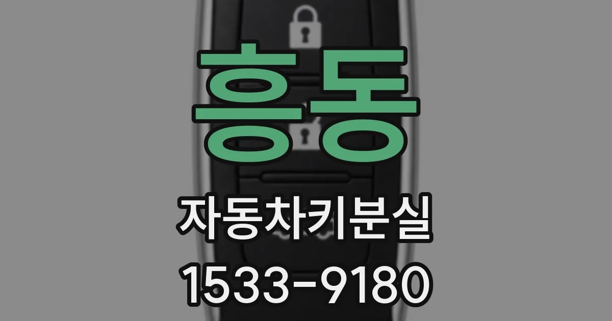 흥동 자동차키분실