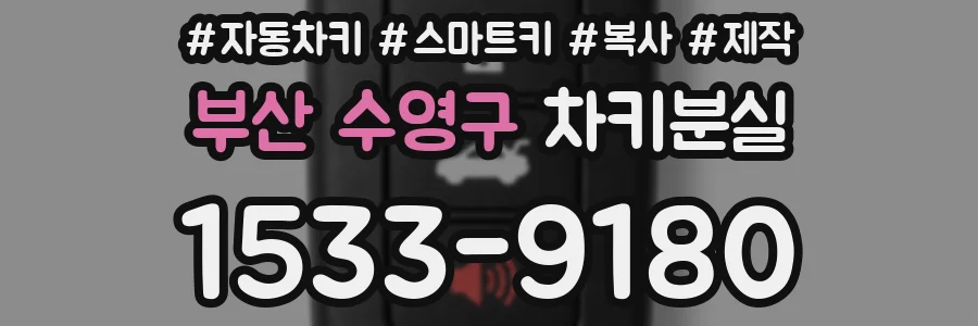 부산 수영구 차키분실