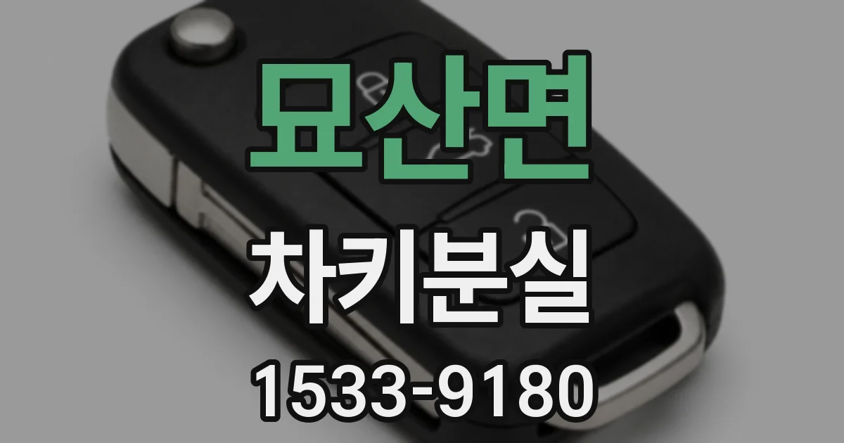 묘산면 차키분실