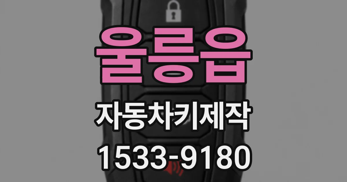 울릉읍 자동차키제작