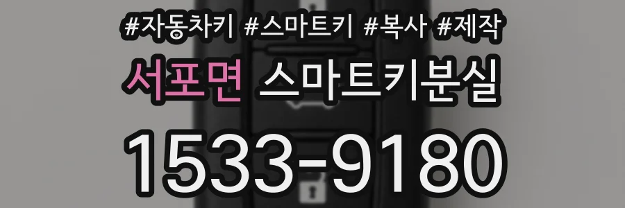 서포면 스마트키분실