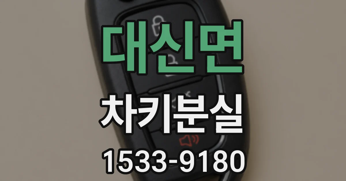 대신면 차키분실