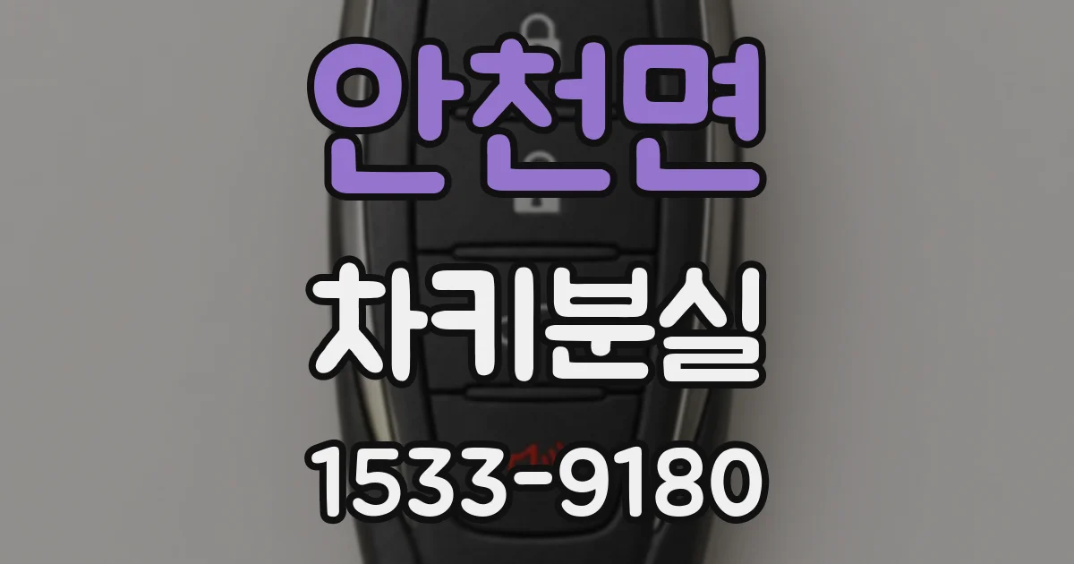 안천면 차키분실