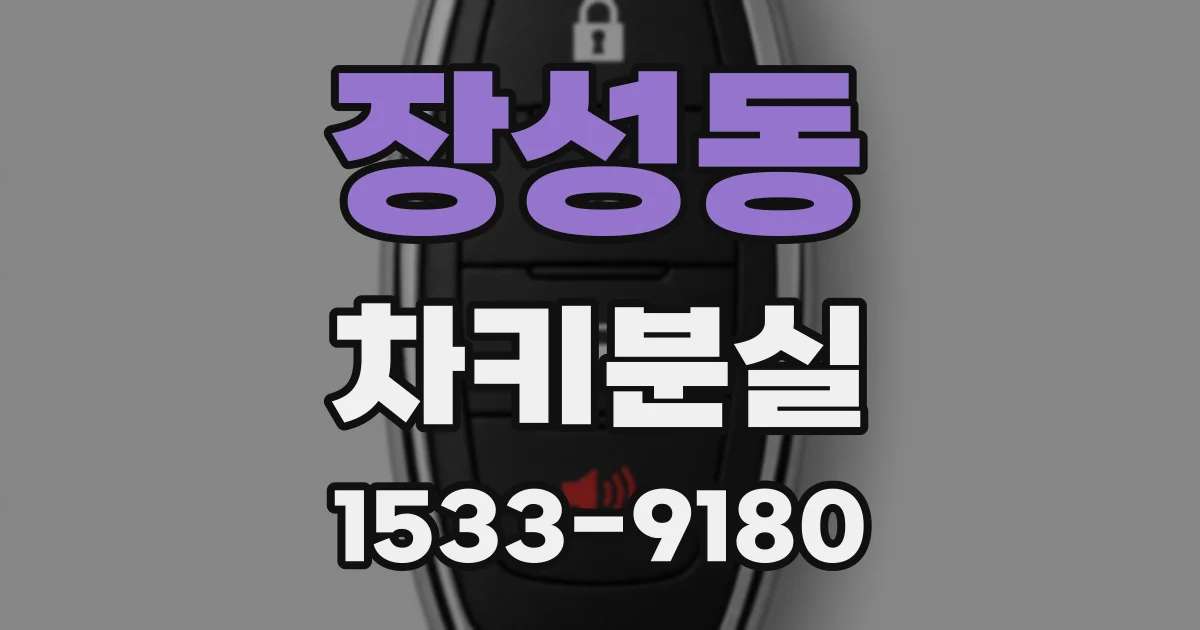 장성동 차키분실