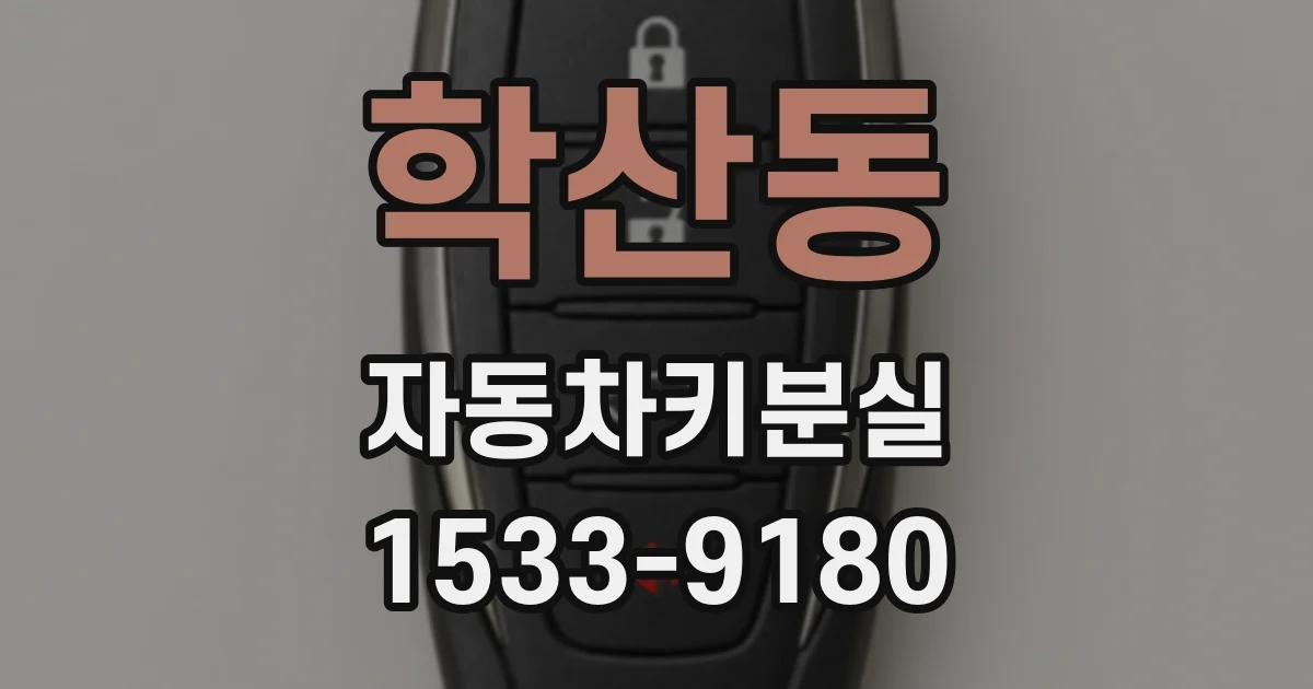 학산동 자동차키분실