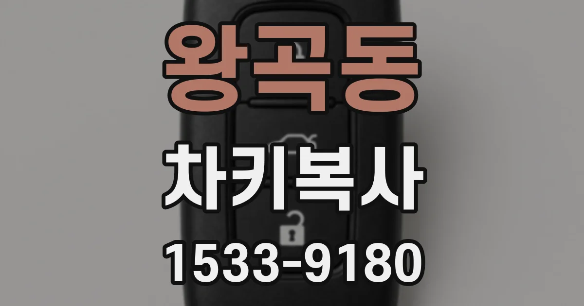 왕곡동 차키복사