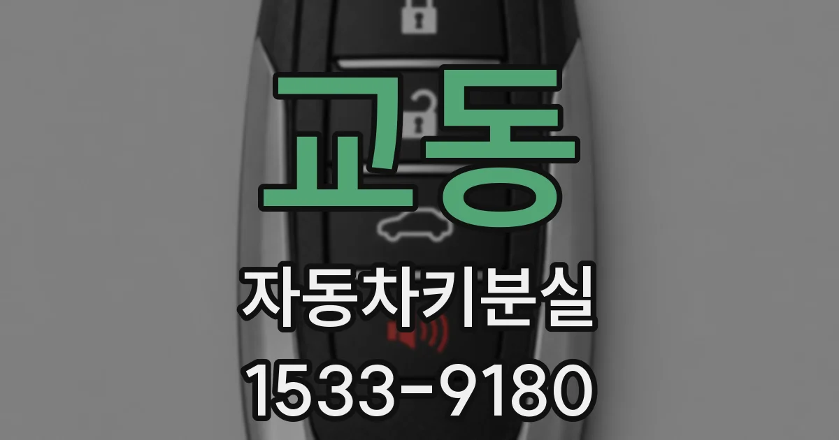 교동 자동차키분실