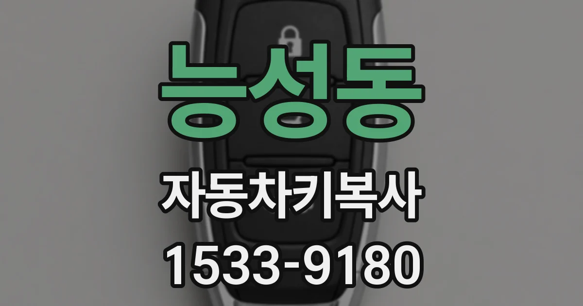 능성동 자동차키복사
