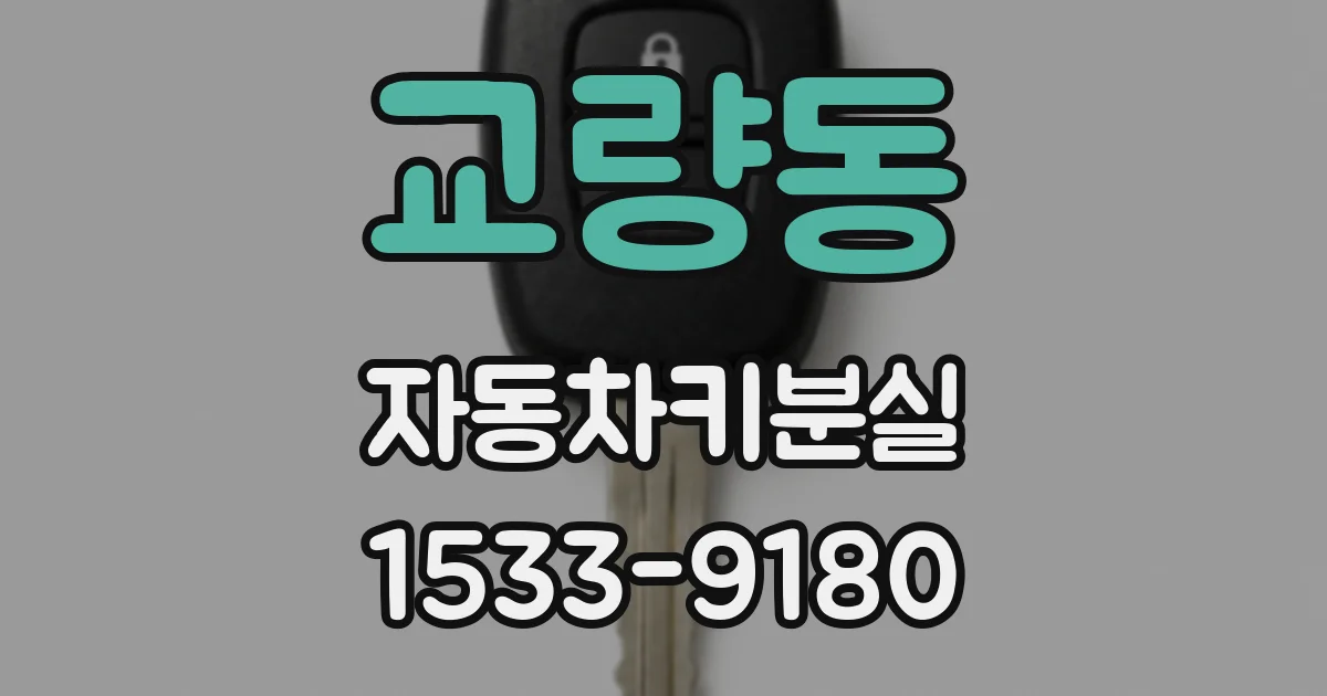 교량동 자동차키분실