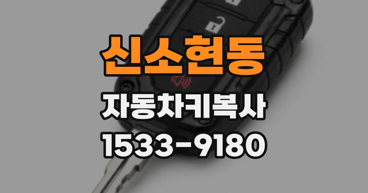 신소현동 자동차키복사