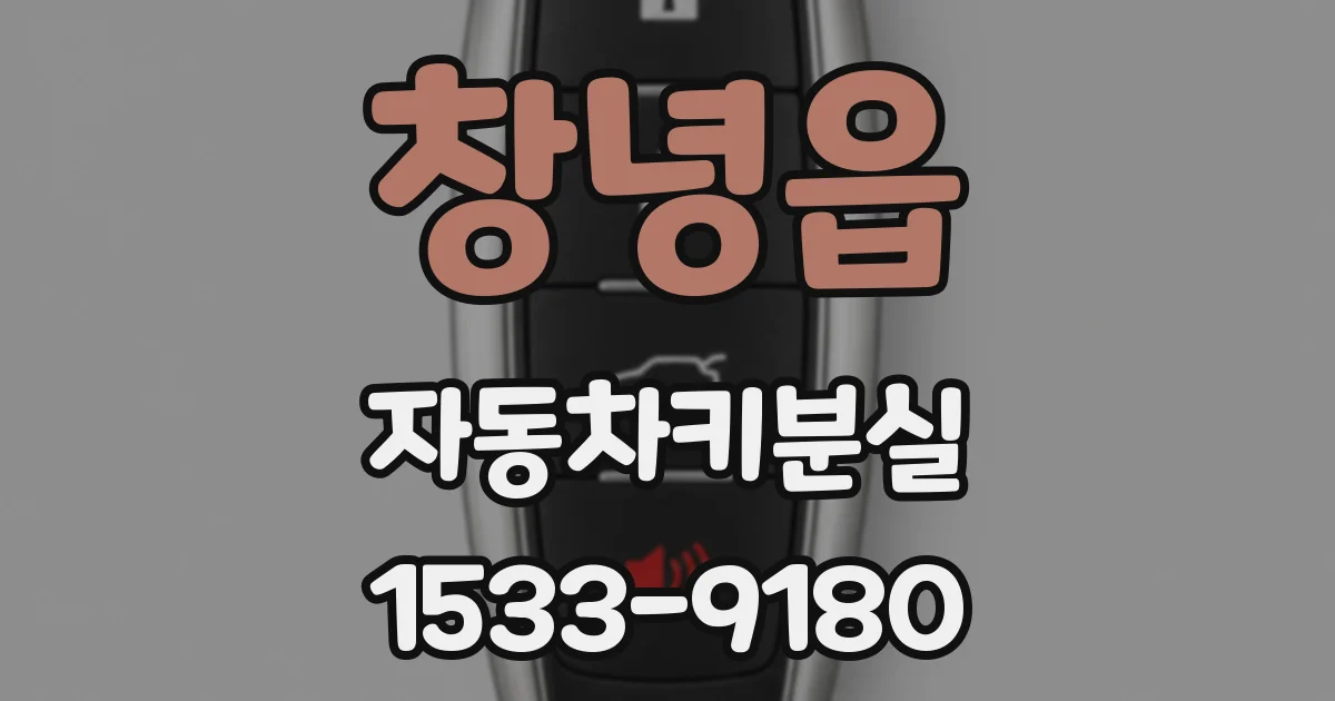 창녕읍 자동차키분실