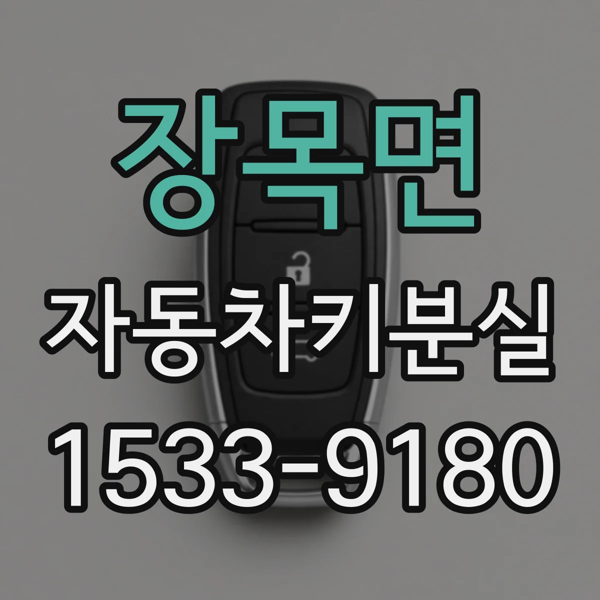 장목면 자동차키분실